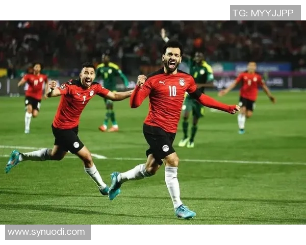 日本与塞内加尔对决分析及比赛前瞻探讨